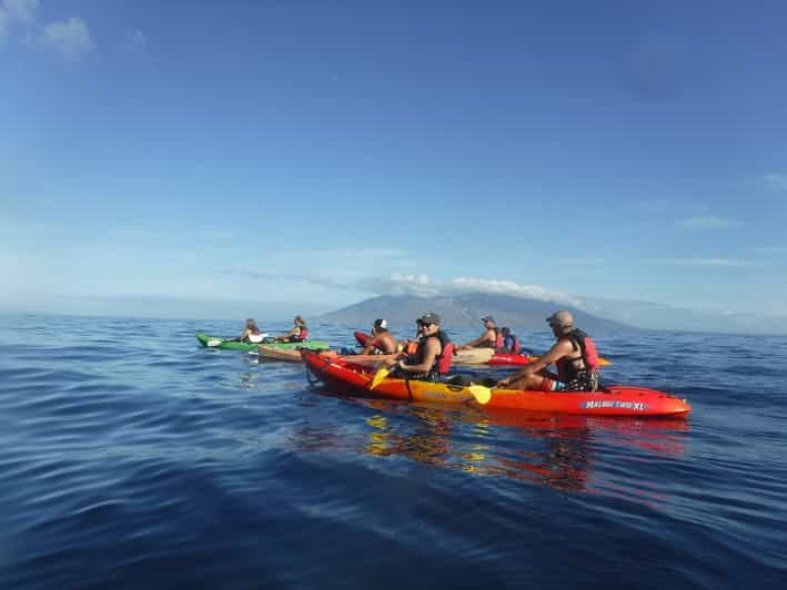 Kihei Kayaking Snorkeling And Surfing Combo Experience Getyourguide