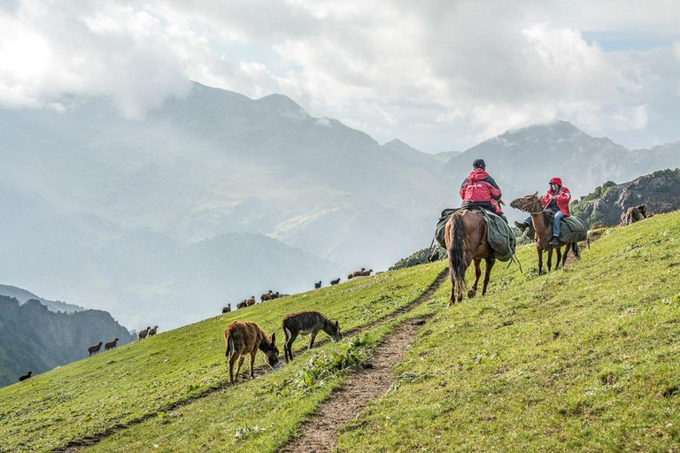 Unvergessliches Reitabenteuer in PokharaUnvergessliches Reitabenteuer