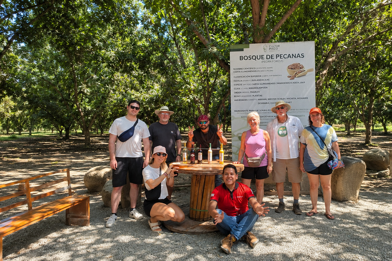 Lima: All-Inclusive VIP Paracas & Huacachina Trip with Lunch