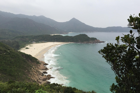 Hong Kong: Big Buddha and Lantau Island Guided Tour