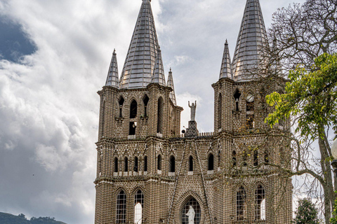 From Medellín: Honey Tour, Visit the Bees