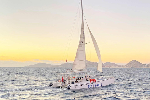 Cabo San Lucas: Walbeobachtungserlebnis auf dem KatamaranWhale Watching Erlebnis
