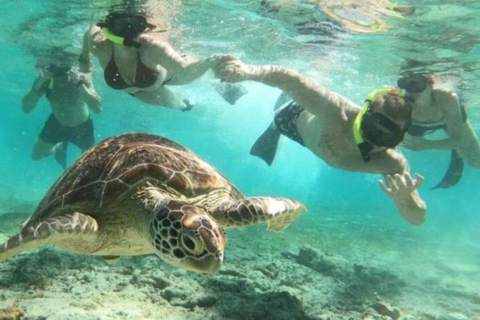 Lombok: Private Gili Island Snorkeling Tour with GoPro Photo