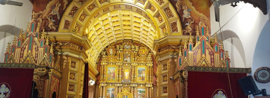 Kochi : excursion à Mulanthuruthy, Pazhoor et Areekal