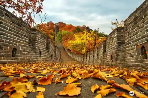 Beijing: Mutianyu Great Wall Group Bus Tour with Tickets
