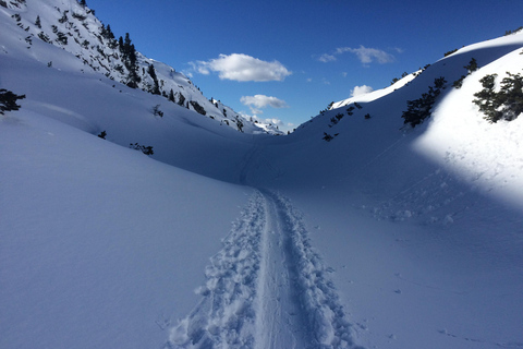 Hallstatt: Snowshoeing from Krippenstein to Zwölferkogel