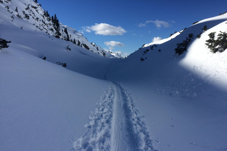 Hallstatt: Snowshoeing from Krippenstein to Zwölferkogel