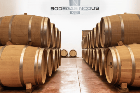 Requena: Bodegas Nodus Winery Tour and Wine Tasting