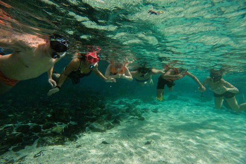 Dubai: snorkeltrip van een hele dag in Fujairah met barbecuelunch