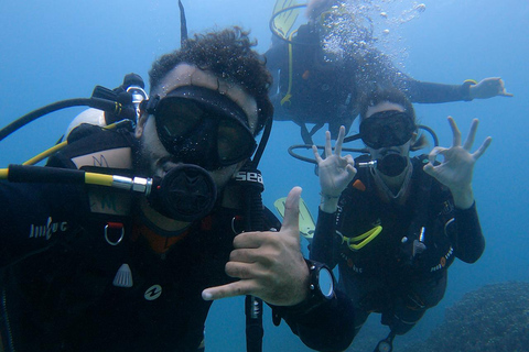 scuba diving in daimaniyat islands