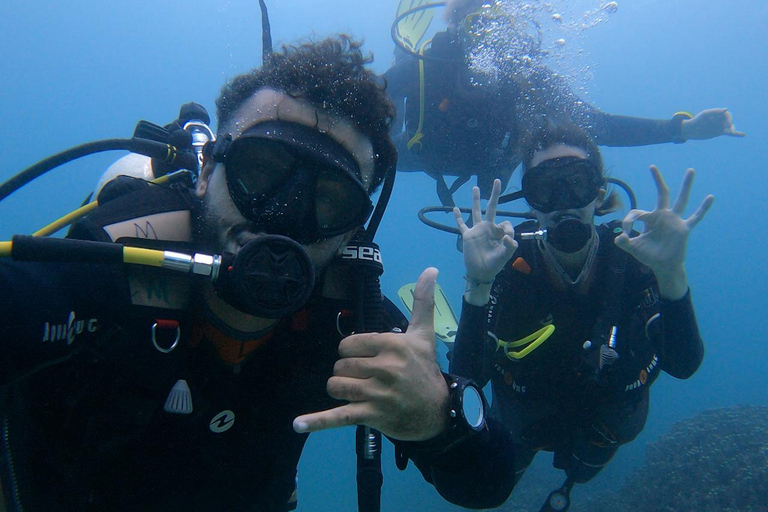 scuba diving in daimaniyat islands