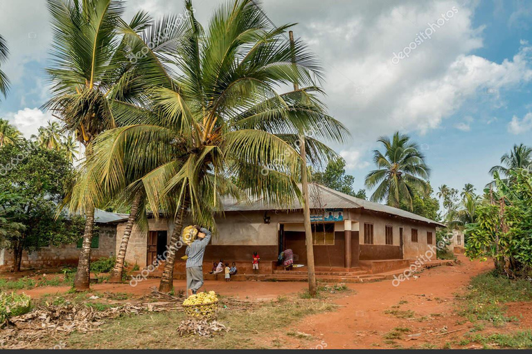 Zanzibar: dorpsoogstfestival met feest en dans