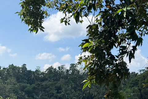 Ubud: Private Half-Day Tour Rice Terrace, Temple & Waterfall Private Ubud Half-Day Tour (Without Entrance Ticket)