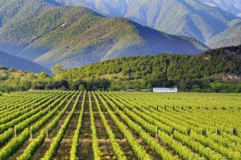 Tbilisi: Kakheti Wine Tour, Sighnaghi & Monasteries