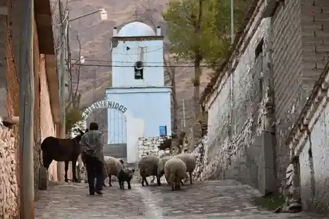 Humahuaca - Calilegua: Overland from the Quebrada to the Yungas of Jujuy