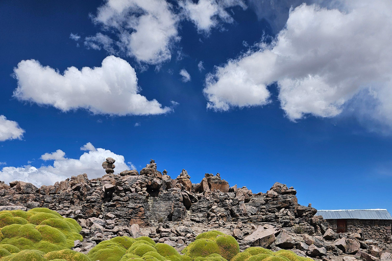 From Puno: Colca Canyon Expedition, Ending in Arequipa