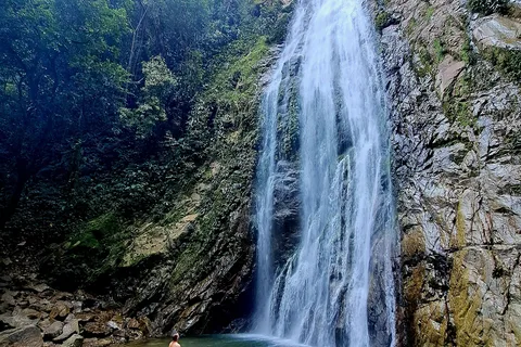 1-Day Trip from Medellín: Paragliding & Swim in Waterfall