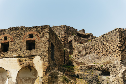 From Rome: Pompeii and Mount Vesuvius Day Trip with LunchPompei &amp; Vesuvius Area Walk with Geologist