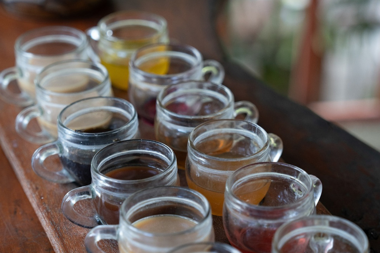 Ubud: Rafting, ATV Quad Bike, or River Tubing Private Tour Quad Bike Adventure with Lunch & Luwak Coffee testing