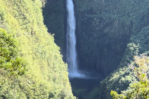 La Paz Waterfall and Cinchona Tour