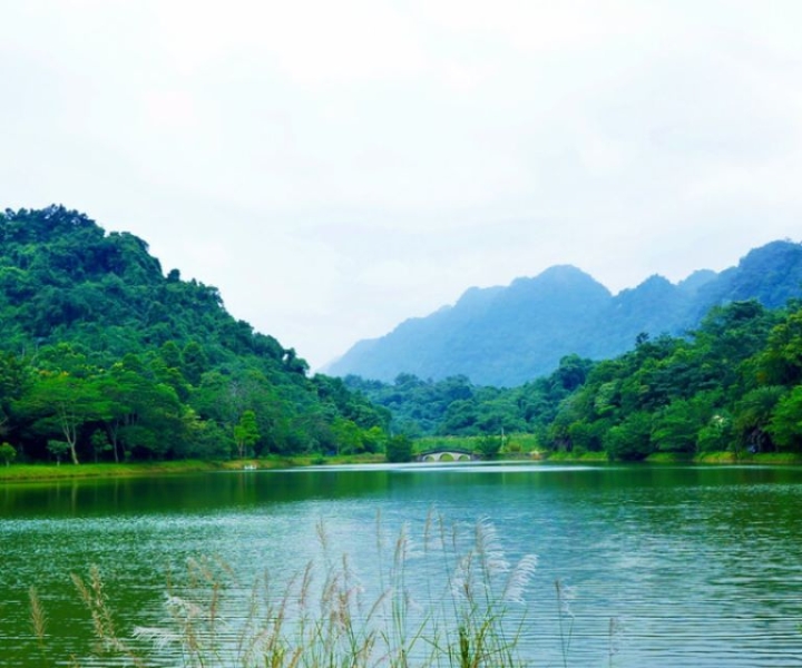 Discover Cuc Phuong National Park