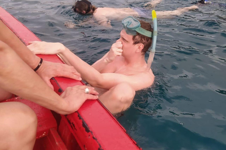 Snorkeling z żółwiami