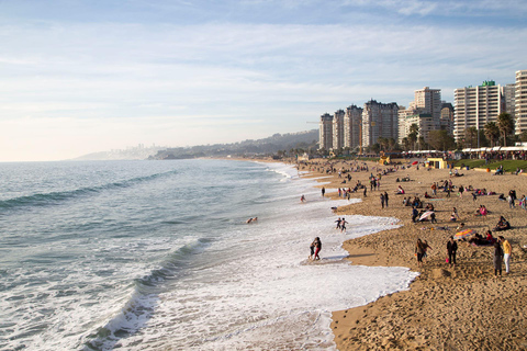 Santiago: Excursão de 1 dia a Valparaiso e Vina del Mar