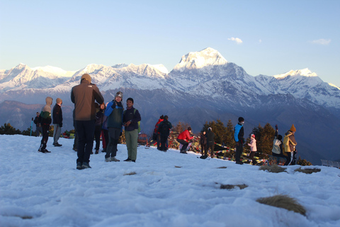 Från Pokhara Budget: 2 dagar 1 natt Ghorepani Poon Hill Trek