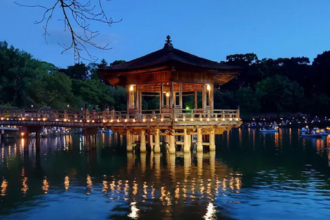 Osaka: Discovering Nara Timeless Grace Guided Tour