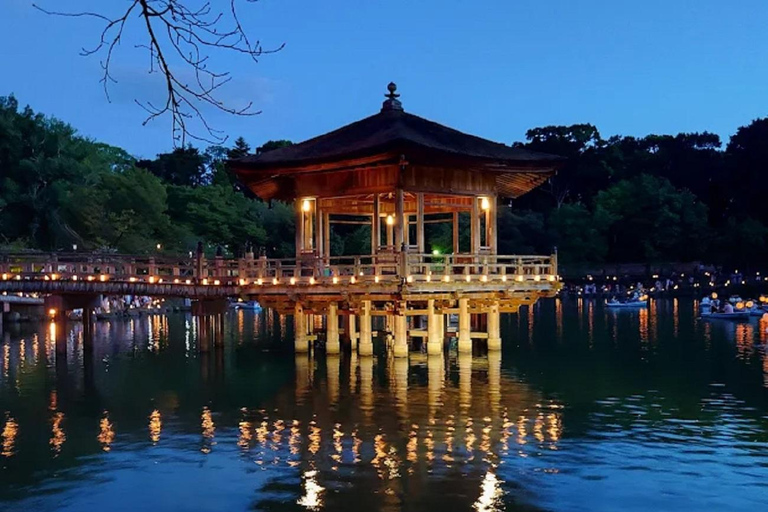 Osaka: Discovering Nara Timeless Grace Guided Tour