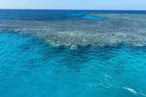 Sharm: Crucero de snorkel por la Isla Blanca y Ras Mohmmed