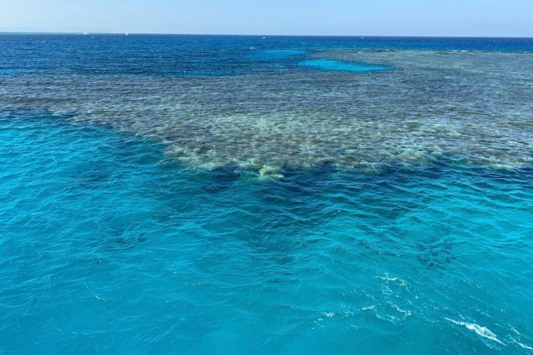 Sharm : White Island et Ras Mohmmed Croisière de plongée en apnée