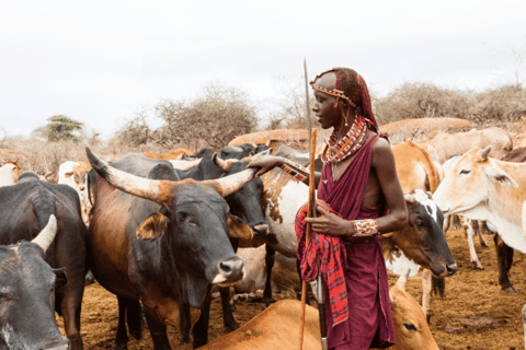 TOUR GIORNALIERO DI ESPERIENZA CULTURALE NEI VILLAGGI MASAI.TOUR DI UN GIORNO DELL&#039;ESPERIENZA CULTURALE DEL VILLAGGIO MASAI.