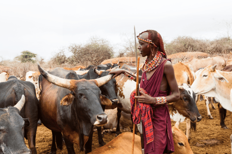 TOUR GIORNALIERO DI ESPERIENZA CULTURALE NEI VILLAGGI MASAI.TOUR DI UN GIORNO DELL&#039;ESPERIENZA CULTURALE DEL VILLAGGIO MASAI.