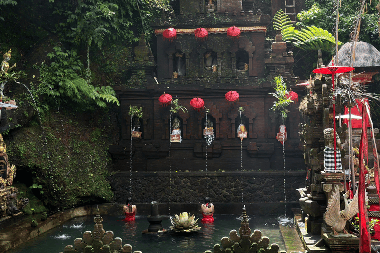 Bali: Taman Pecampuhan Sala Temple Melukat Ceremony