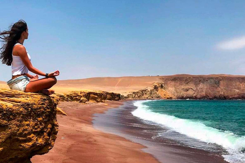 Paracas: Ballestas Islands + Paracas Reserve - FullDay Combo