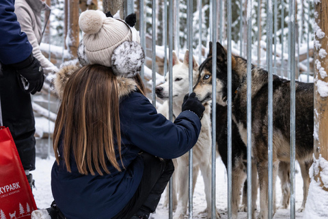 Rovaniemi: Your First Husky Sled Ride & Husky Farm Visit ⭐ 500m Husky Ride | Standard