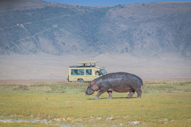 4-Day Safari to Arusha NP, Ngorongoro, Tarangire &amp; Makuyuni