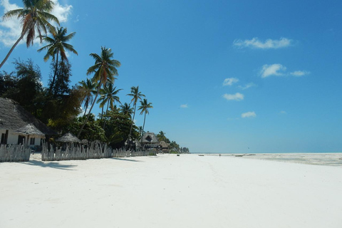 Zanzibar - Mnemba Island tour and Baraka aquarium - turtles