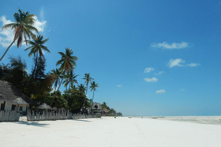 Zanzibar - Farma przypraw i wycieczka na wyspę Nakupenda z lunchem