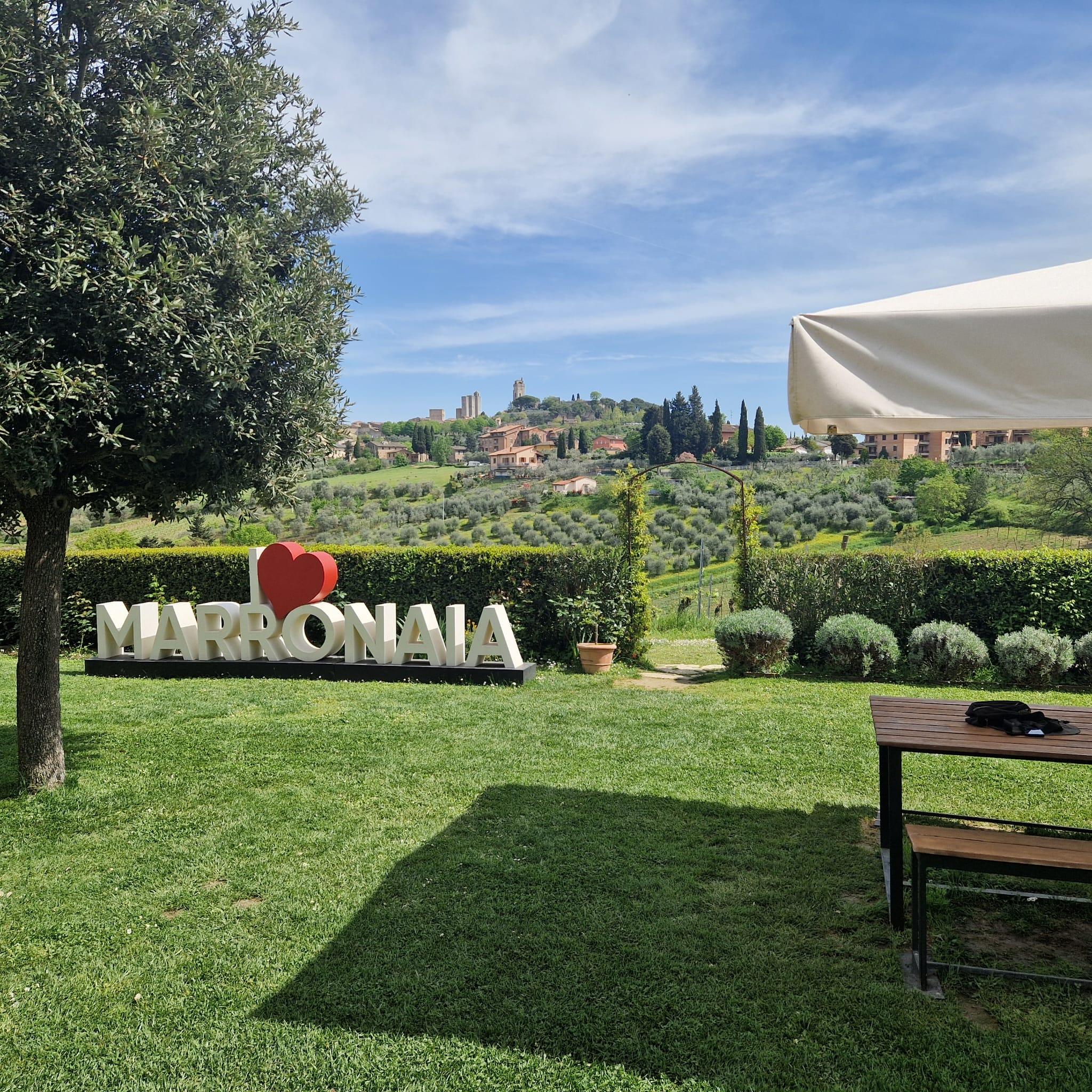 Chianti: Wein-Tour mit Verkostung und Mittagessen in einem Weingut