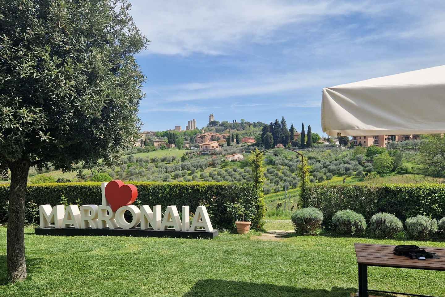 Tour enologico nel Chianti con degustazioni e pranzo in una cantina