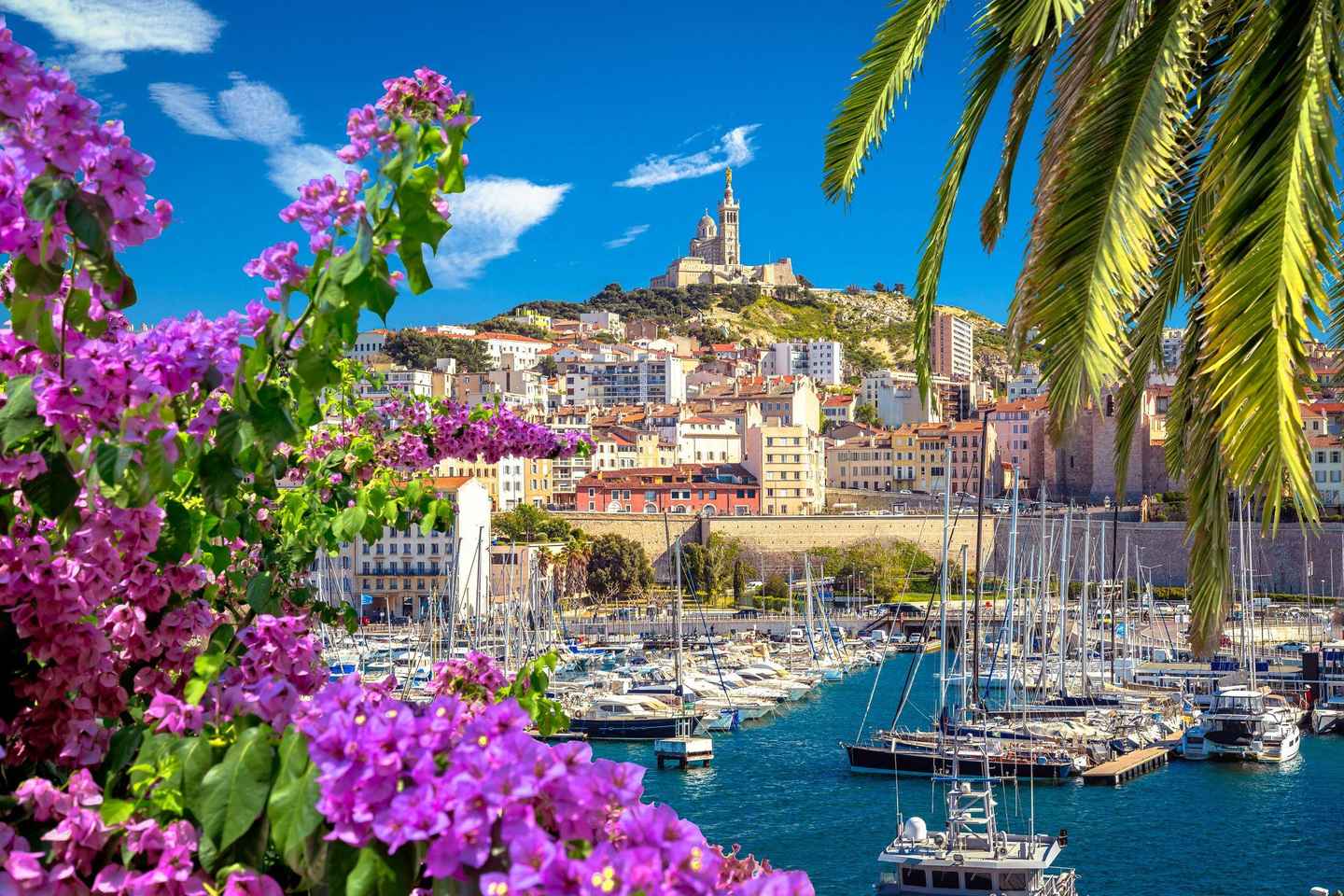 Nice: Antibes, Cannes & Saint-Paul-de-Vence Private Tour - Nice: Antibes, Cannes & Saint-Paul-de-Vence Private Tour