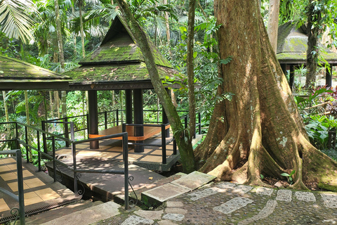 Hidden Valley Springs | Lunch | Taal Volcano Viewing (2in1)