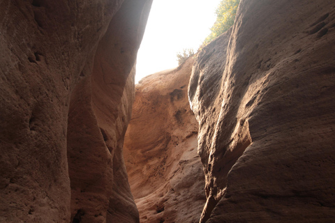 Agadir: Sinec Canyon Guided Tour with Sandboarding