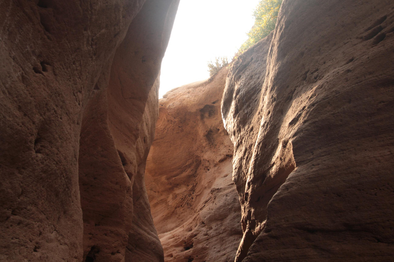 Agadir: Sinec Canyon Guided Tour with Sandboarding