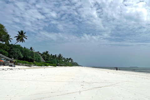 ZANZIBAR: SWIMMING WITH DOLPHIN AND SNORKELING