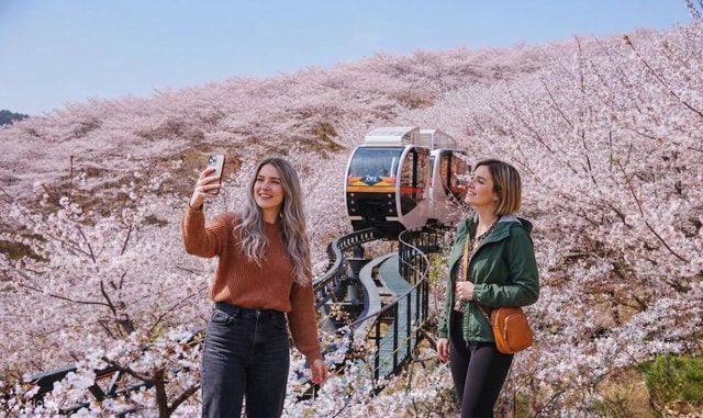 Seoul: Hwadamsup Botanic Garden Shuttle Bus Tour with Ticket