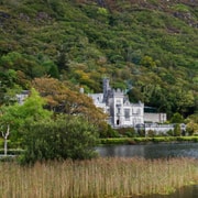 From Dublin: Connemara,Kylemore Abbey,Sheepdog show & Galway