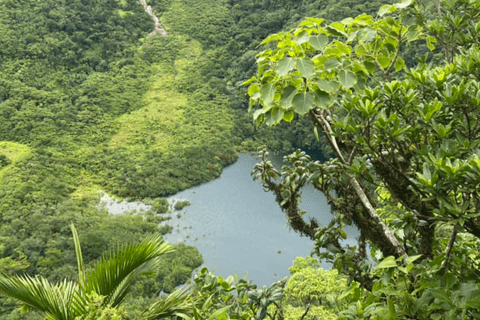 Vulkanwanderung zum Mt. Liamuiga (Höchster Gipfel der Insel)